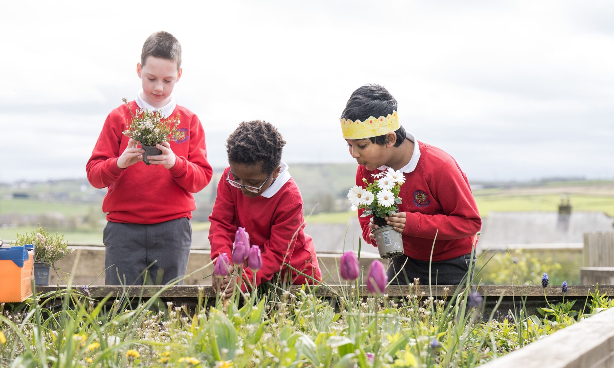 Denholme Primary School Pupils Gardening