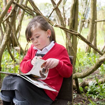 Phonics and early reading